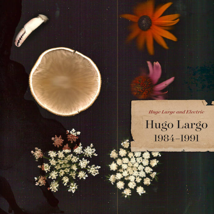 Hugo Largo - Huge Large And Electric: Hugo Largo 1984-1991 [3-lp]