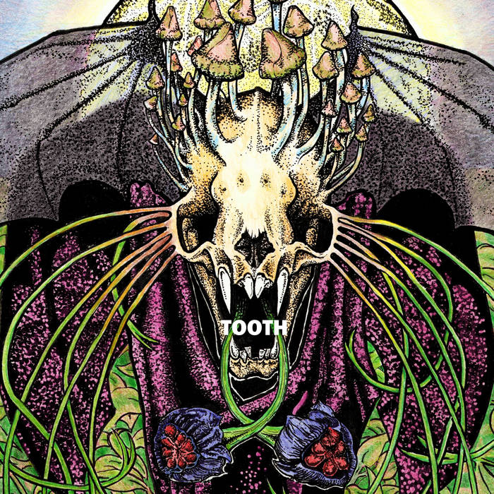 Tooth - Tooth