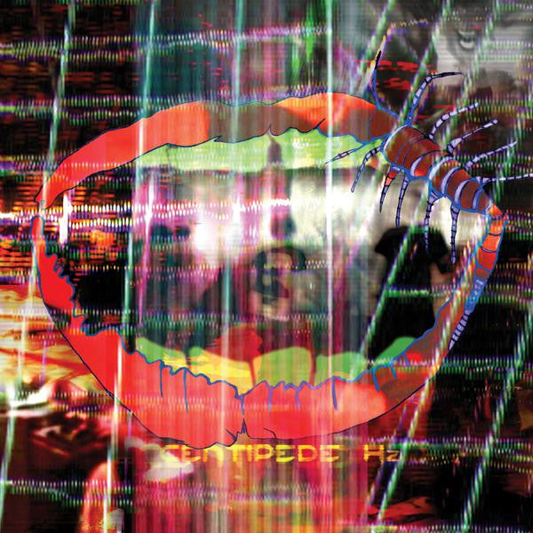 [DAMAGED] Animal Collective - Centipede Hz