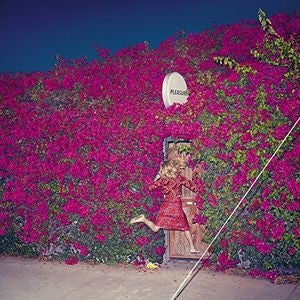 [DAMAGED] Feist - Pleasure