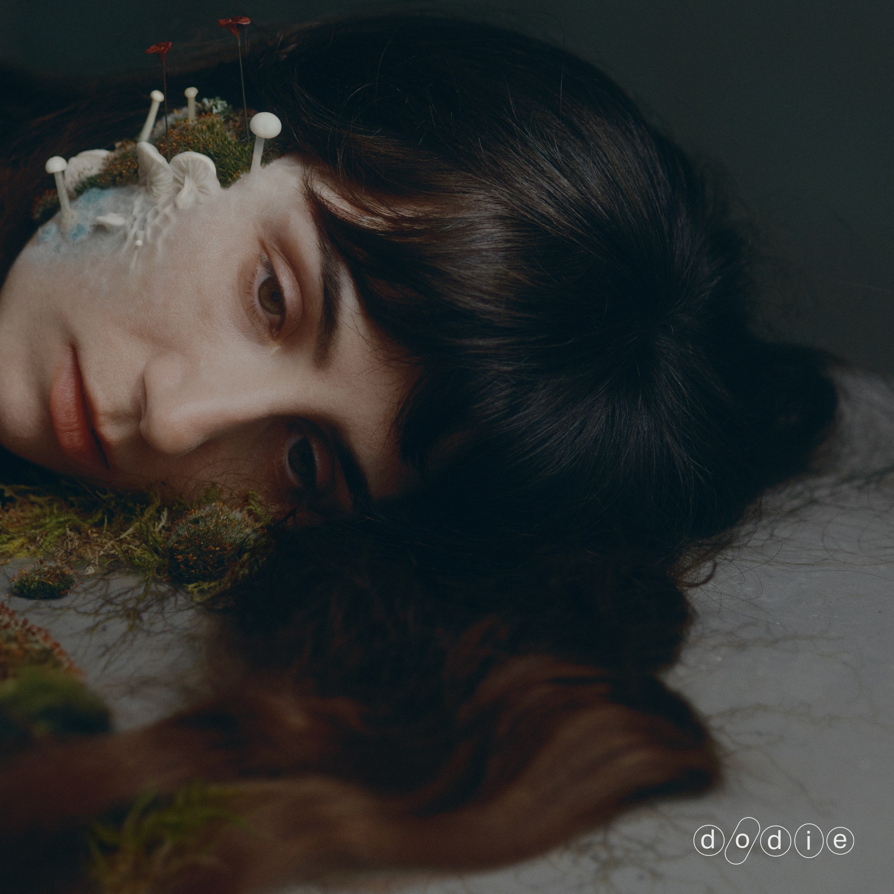 [PRE-ORDER] Dodie - Not For Lack Of Trying [Signed Insert] [Release Date: 10/03/2025]