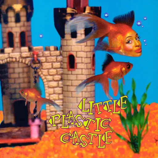 Ani DiFranco - Little Plastic Castle