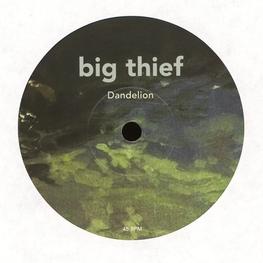 Big Thief - Dandelion on Saddle Creek 45
