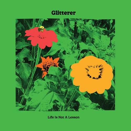 Glitterer - Life Is Not A Lesson [Black Vinyl]