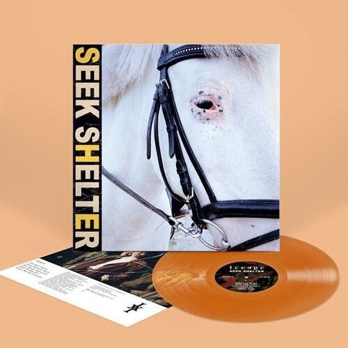 Iceage - Seek Shelter [Indie-Exclusive Orange Vinyl]