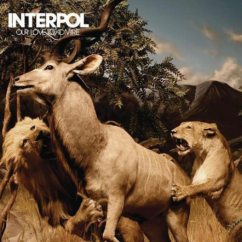 [DAMAGED] Interpol - Our Love To Admire