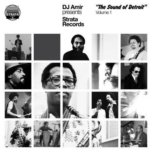 Various Artists - DJ Amir Presents Strata Records - The Sound of Detroit Vol. 1