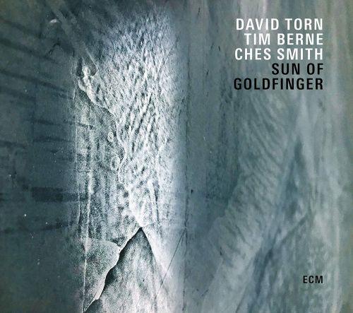 David Torn / Tim Berne / Ches Smith - Sun Of Goldfinger