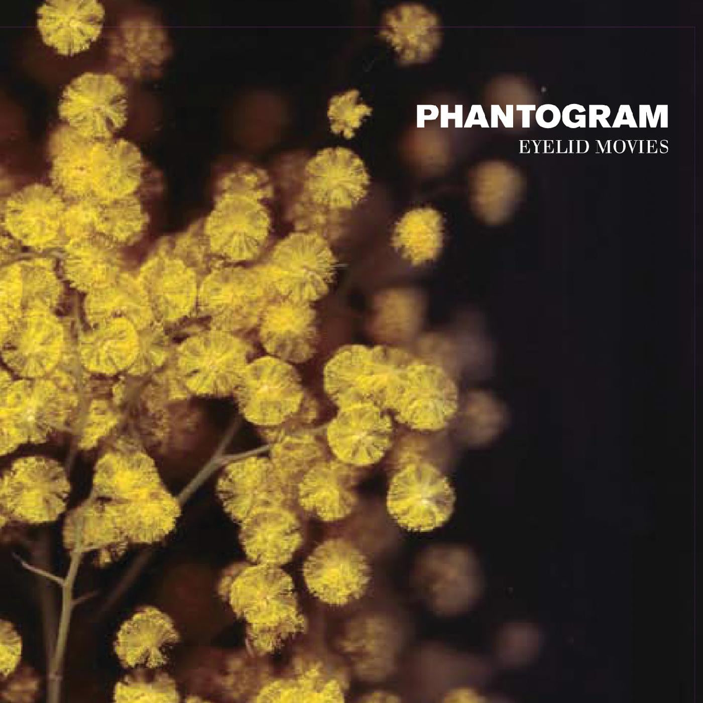 Phantogram - Eyelid Movies [Black & Yellow Swirled Vinyl]