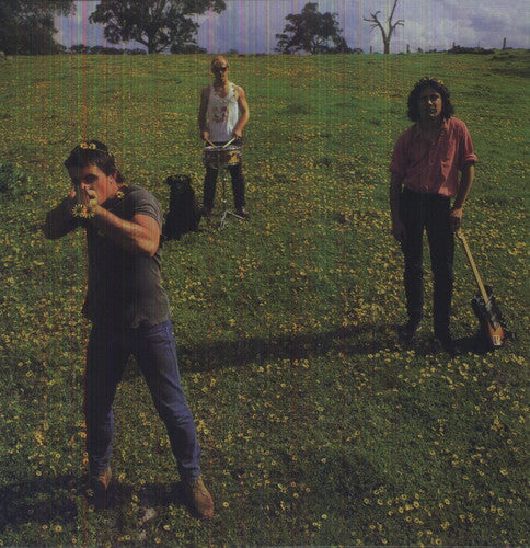 Cosmic Psychos - Down on the Farm