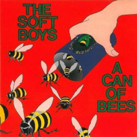 The Soft Boys - A Can Of Bees