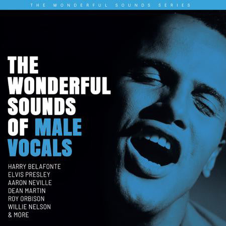 Various - The Wonderful Sounds Of Male Vocals