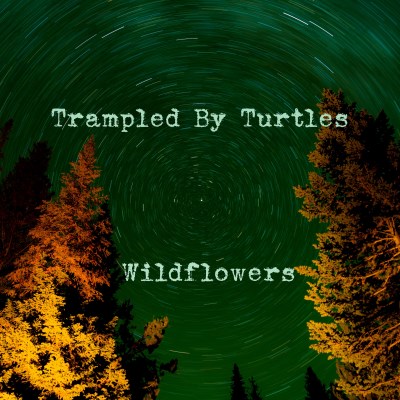 Trampled By Turtles - Wildflowers