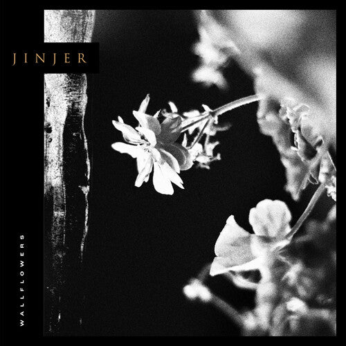 Jinjer - Wallflowers [Gray Vinyl]