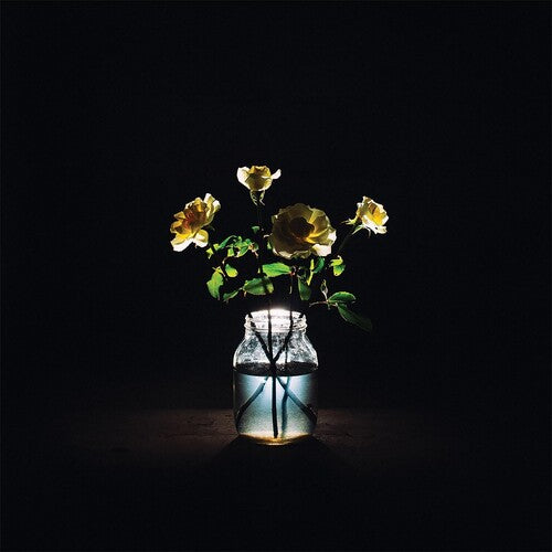 Billy Strings - Renewal [2-LP]