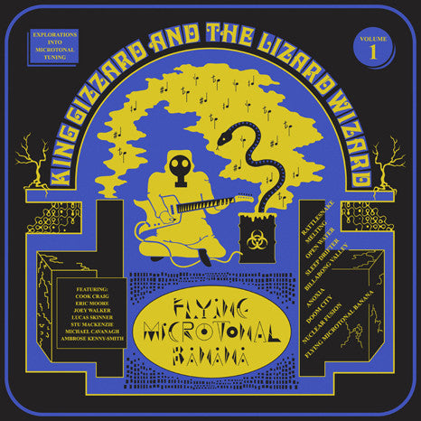 King Gizzard & Lizard Wizard - Flying Microtonal Banana