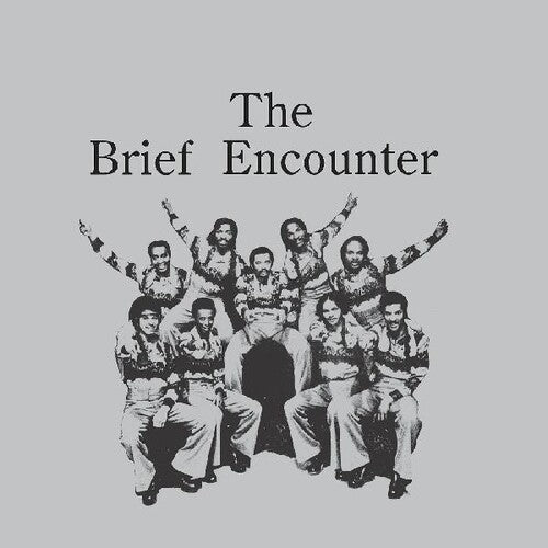 The Brief Encounter - Introducing The Brief Encounter [Smoky Mountain Vinyl]