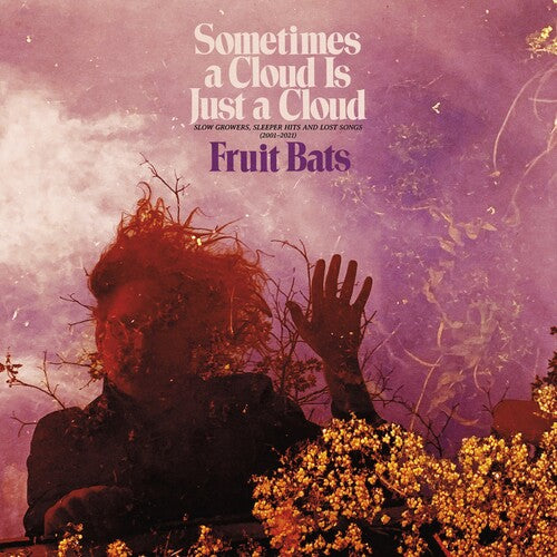 Fruit Bats - Sometimes a Cloud Is Just a Cloud: Slow Growers, Sleeper Hits and Lost Songs (2001–2021) [Colored Vinyl]