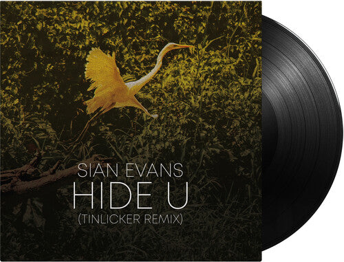 Sian Evans (Kosheen) / Tinlicker & Helsloot - Hide U (Tinlicker Remix) / Because You Move Me [12" Single]