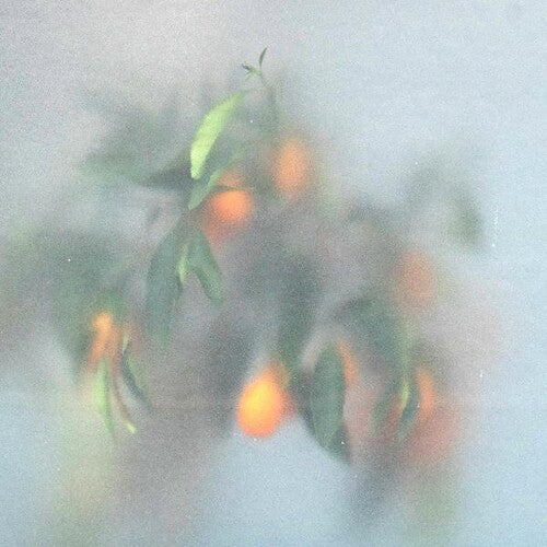 [DAMAGED] U-Ziq & Mrs Jynx - Secret Garden [Green Vinyl]