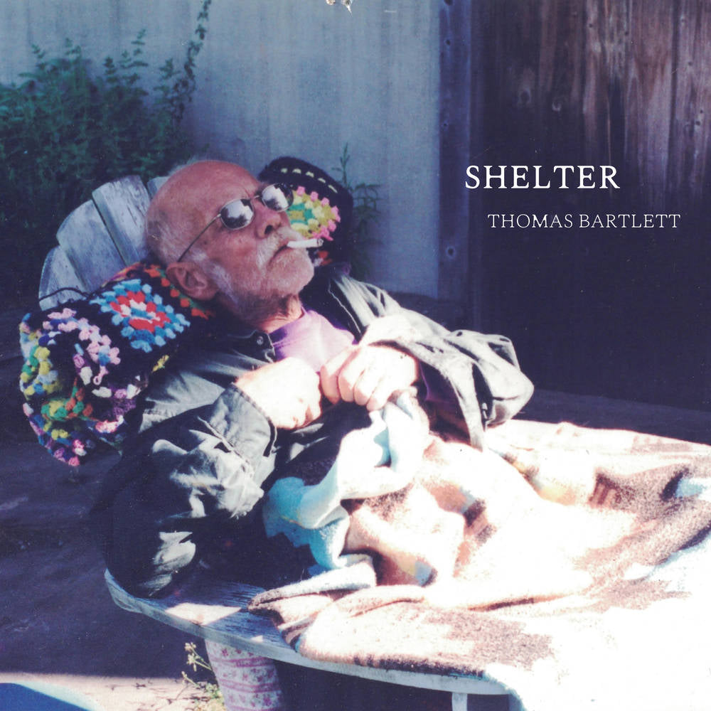 Thomas Bartlett - Shelter