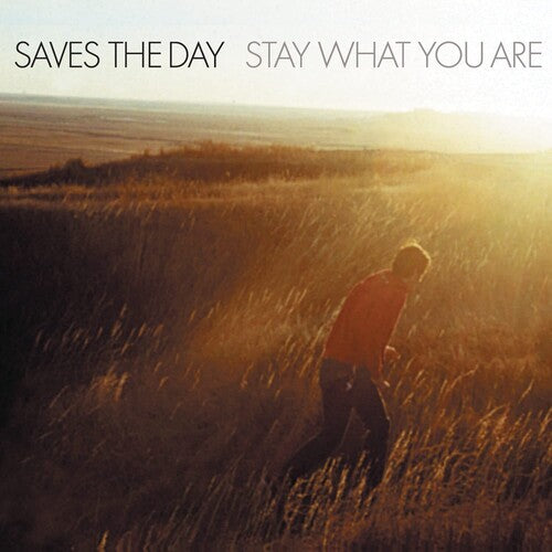 [DAMAGED] Saves the Day - Stay What You Are (Anniversary Edition) [10" Brown Vinyl]