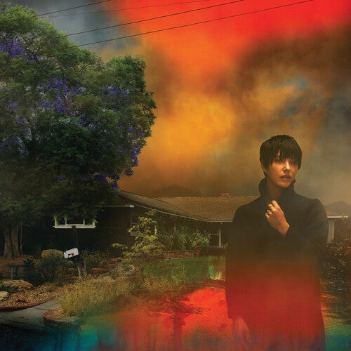 [DAMAGED] Sharon Van Etten - We've Been Going About This All Wrong [Marbled Smoke Vinyl]