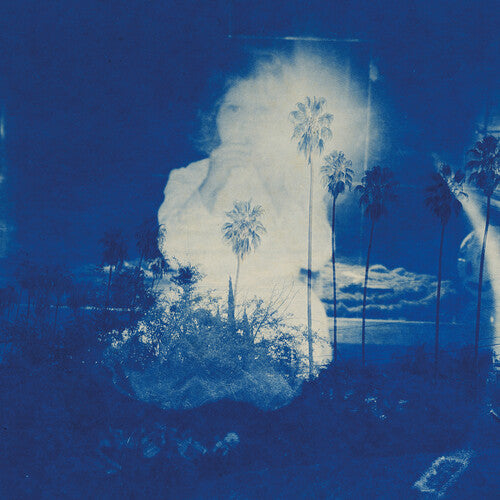 Fruit Bats - A River Running to Your Heart [Black Vinyl]