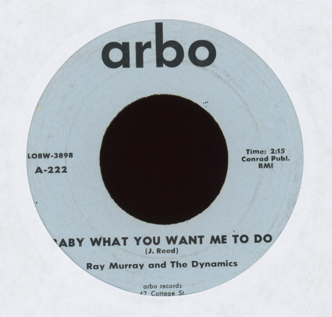 Ray Murray And The Dynamics - Baby What You Want Me to Do on Arbo