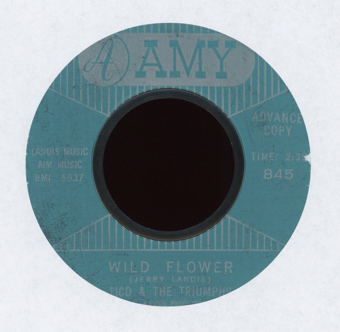 Tico And The Triumphs - Wild Flower on Amy Promo