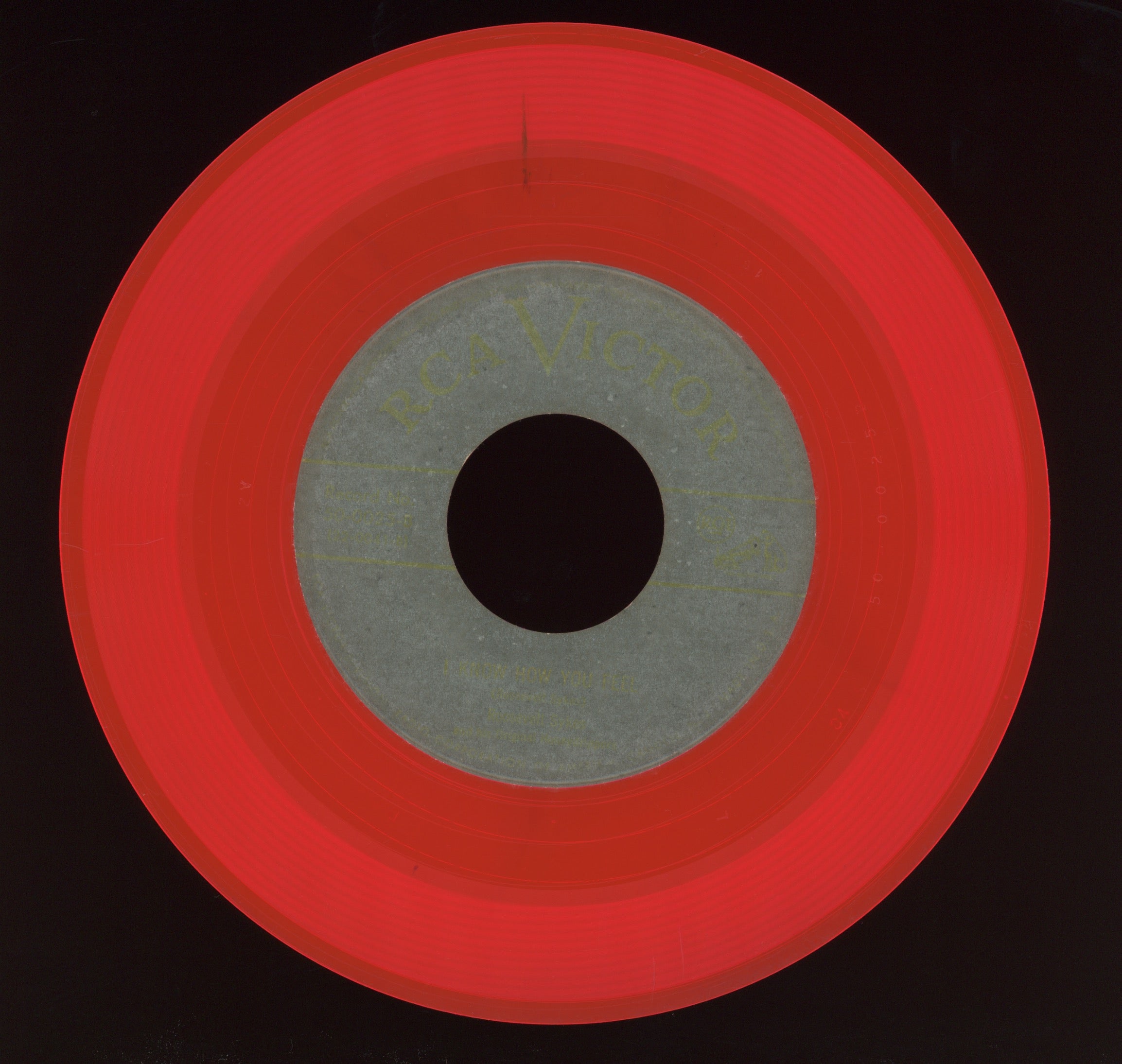 Roosevelt Sykes - Stop Her Poppa on RCA Orange Vinyl