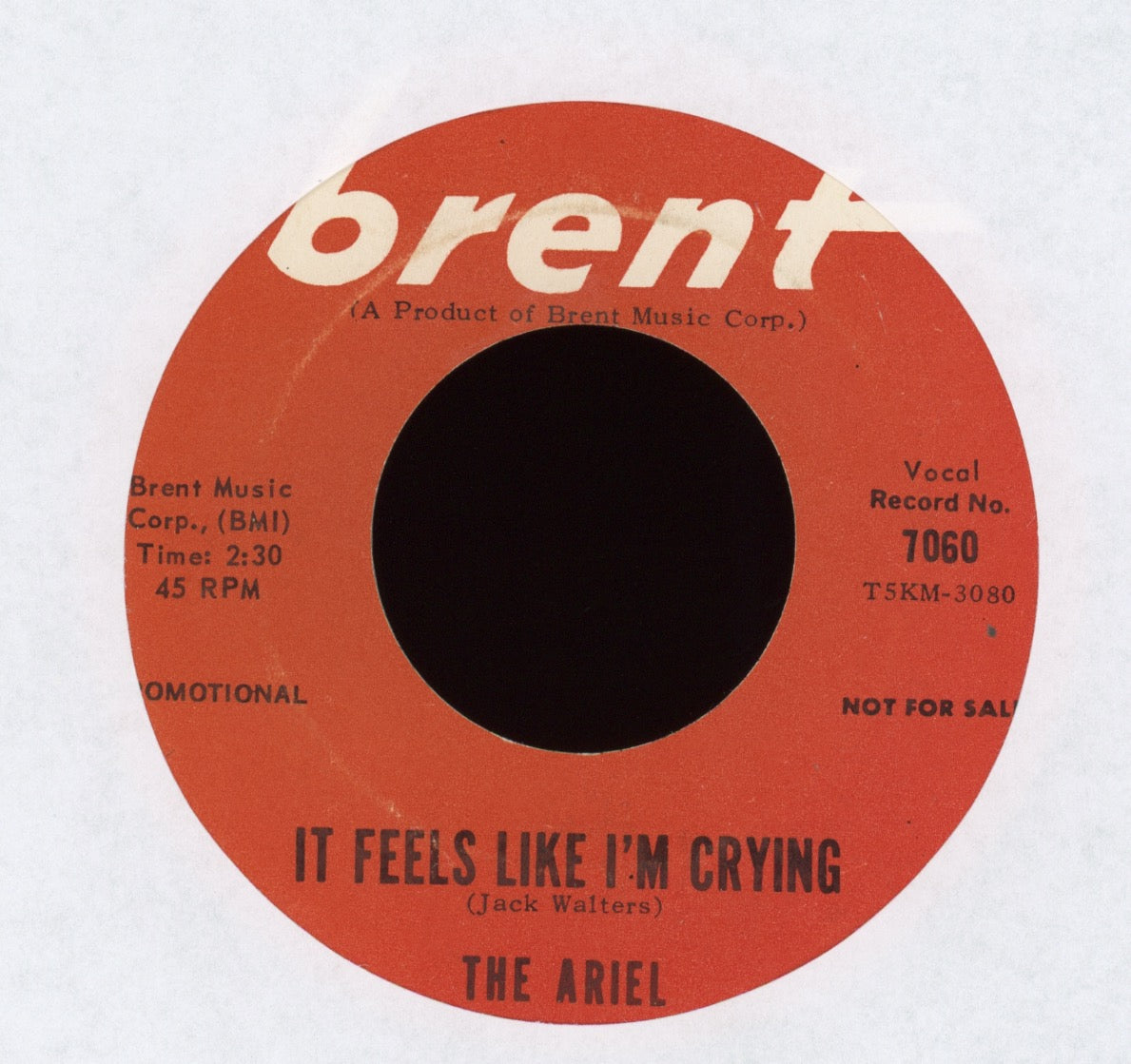 The Ariel - I Love You on Brent Promo