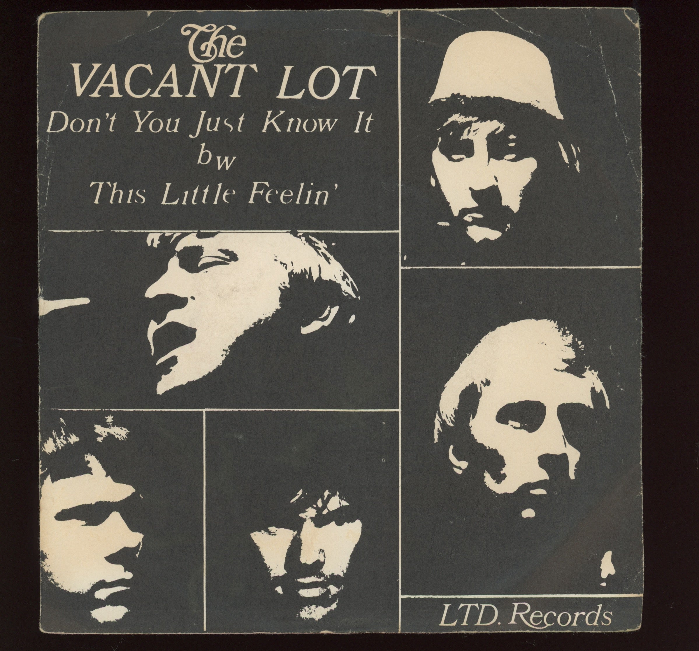 Roger Sayre The Vacant Lot - Don't You Just Know It / This Little Feelin' on LTD With Picture Sleeve