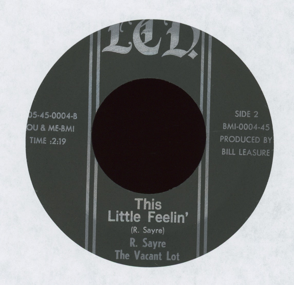 Roger Sayre The Vacant Lot - Don't You Just Know It / This Little Feelin' on LTD With Picture Sleeve