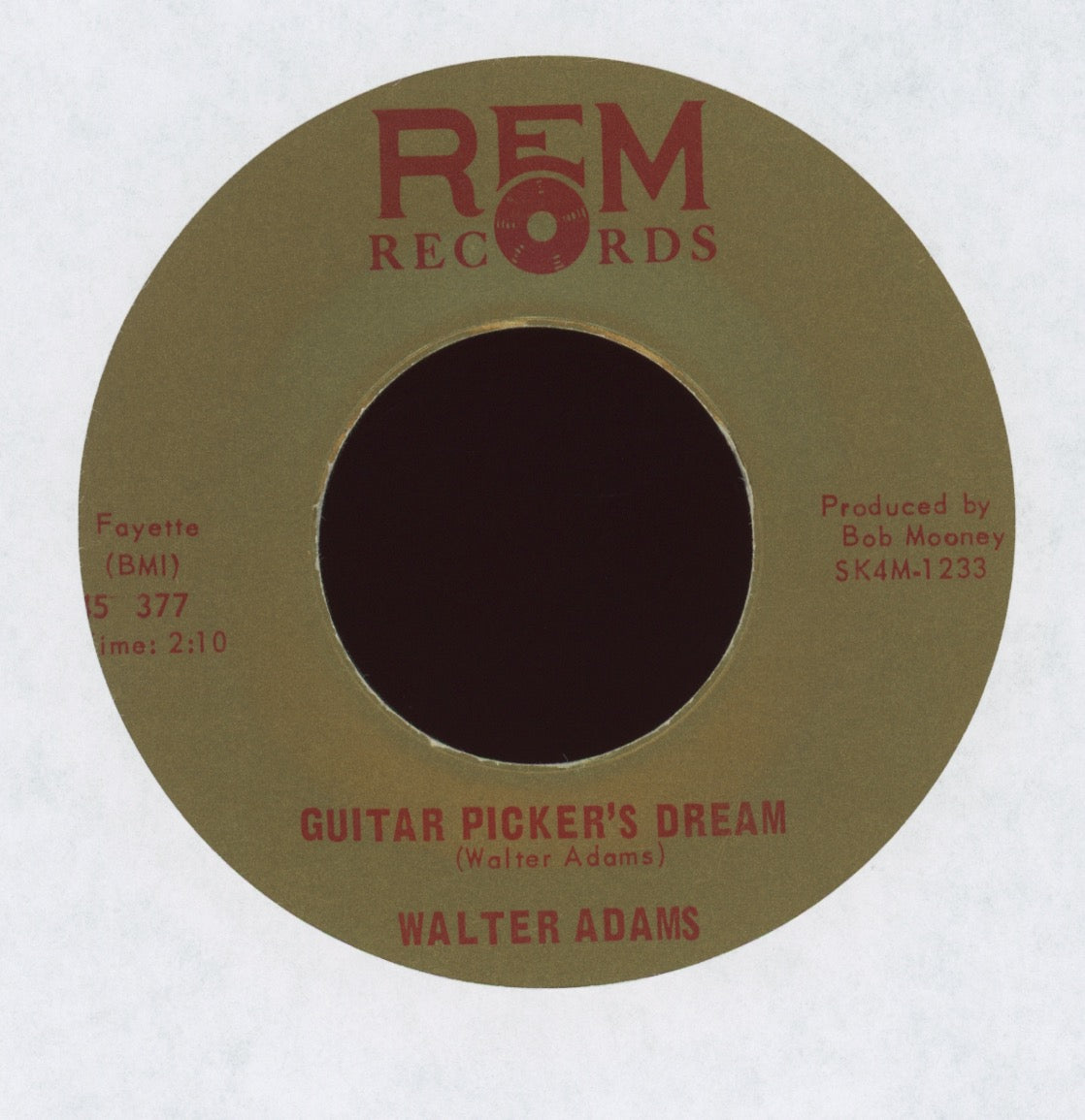 Walter Adams - Guitar Picker's Dream on REM