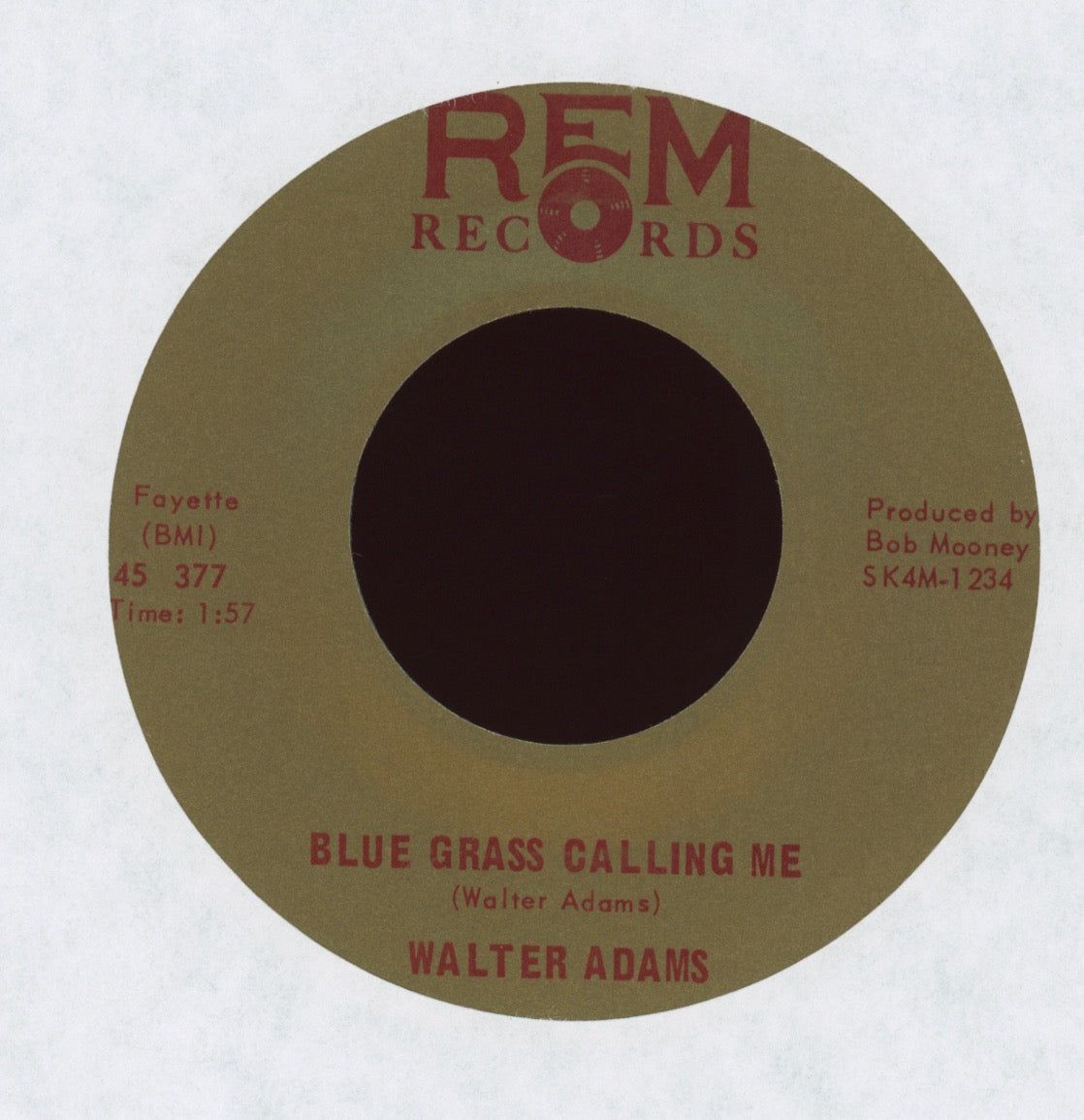 Walter Adams - Guitar Picker's Dream on REM