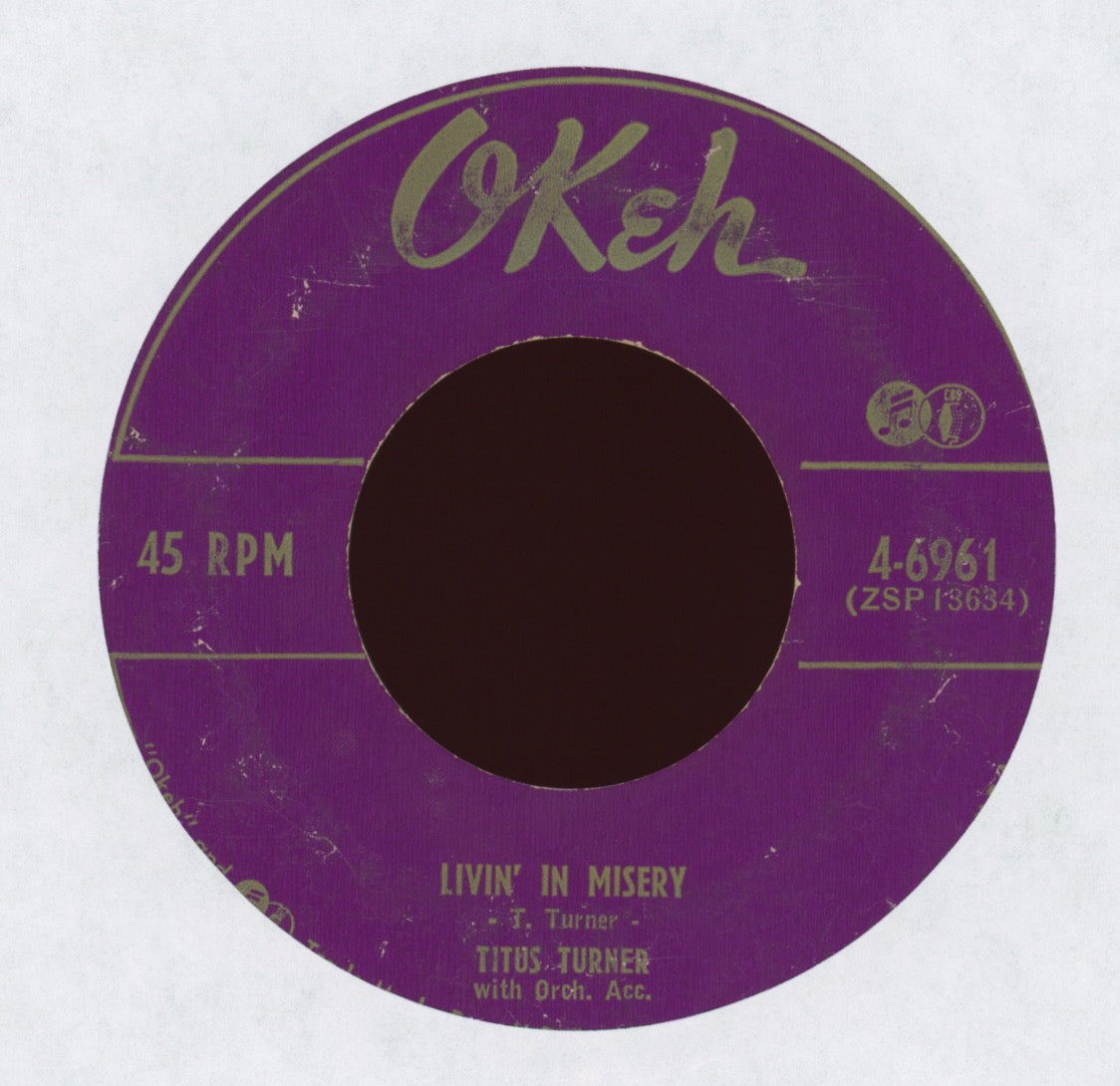 Titus Turner - Big Mary's on Okeh