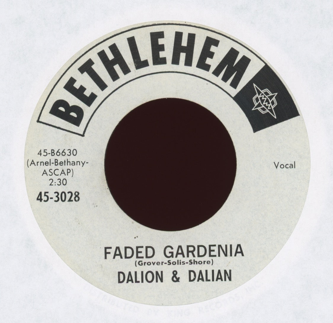 Dalion & Dalian - Faded Gardenia on Bethlehem Promo