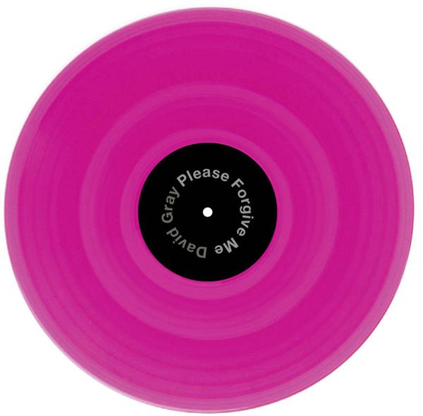 David Gray - Please Forgive Me 2020 [12" Single]