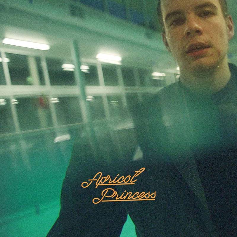 Rex Orange County - Apricot Princess (5th Anniversary Edition) [Colored Vinyl]