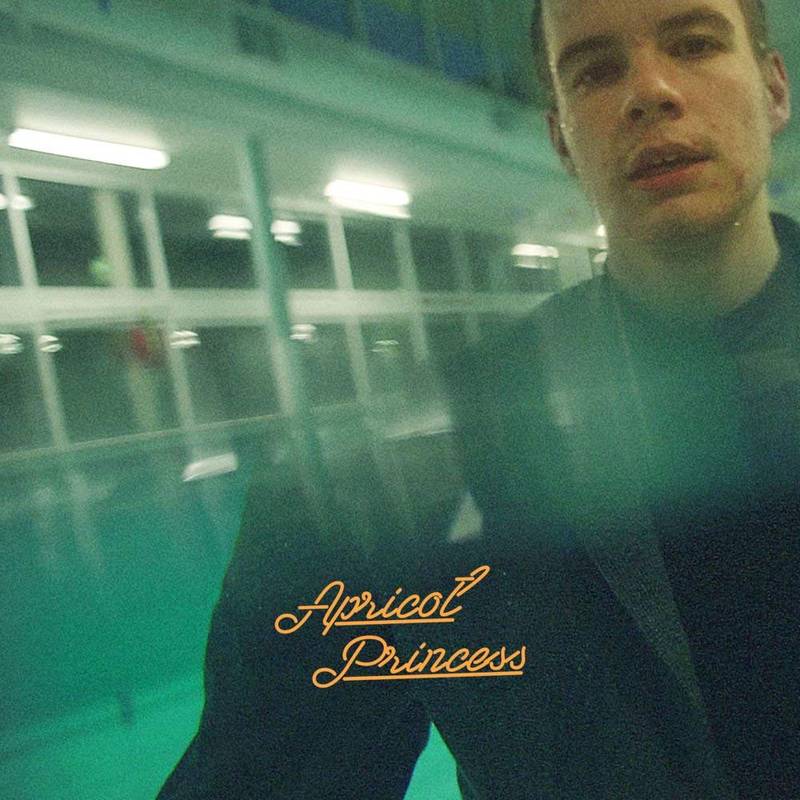 [DAMAGED] Rex Orange County - Apricot Princess (5th Anniversary Edition) [Colored Vinyl]