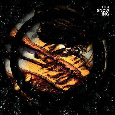 Throwing Snow - Dragons [Marbled Orange Vinyl]