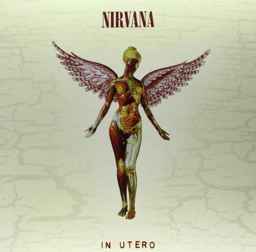 [DAMAGED] Nirvana - In Utero