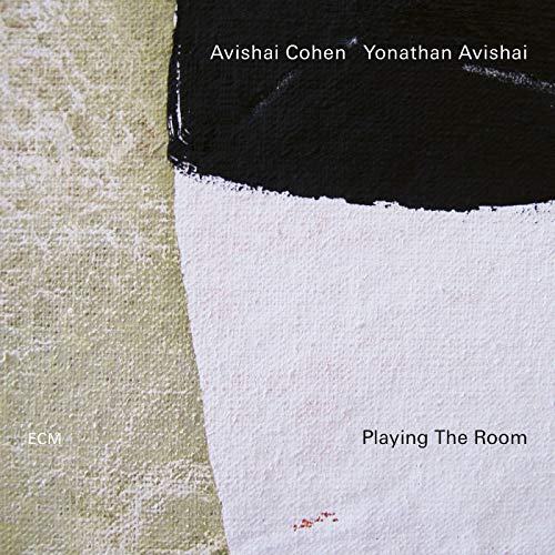 Avishai Cohen / Yonathan Avishai - Playing The Room