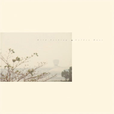 Wild Nothing - Golden Haze [Clear Smoke Vinyl]