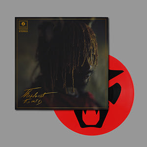 Thundercat - It Is What It Is [Deluxe Gatefold Picture Disc]