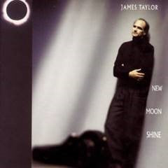 James Taylor - New Moonshine