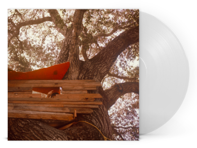 Backseat Lovers - Waiting To Spill [Clear Vinyl]