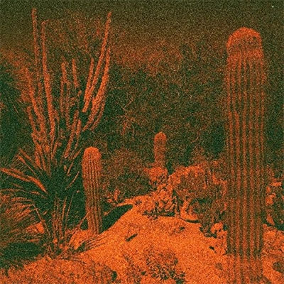 Cameron Knowler and Eli Winter - Anticipation [Black Vinyl]