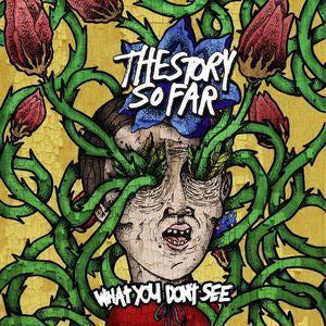 Story So Far, The - What You Don't See